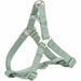 Dog harness Trixie Premium Green XS/S - Домашни Животни<<<Дом Градина<<<BigBuy&&&Пътуване и разходки<<<Домашни