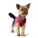 Dog Jumper Hunter Malmö Red Burgundy - Домашни Животни<<<Дом Градина<<<BigBuy&&&Здраве и хигиена<<<Домашни