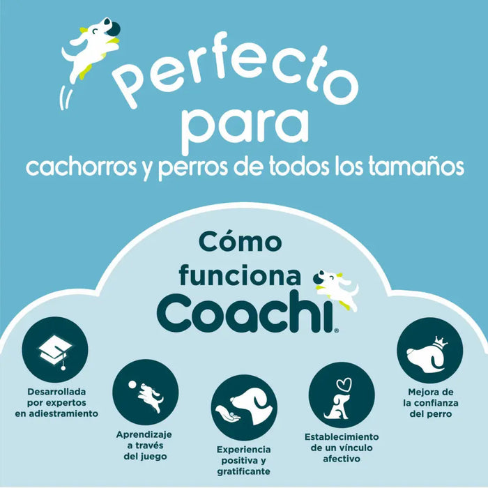 Dog Lead Coachi Blue Training - Домашни Животни<<<Дом Градина<<<BigBuy&&&Пътуване и разходки<<<Домашни Животни<<<Дом