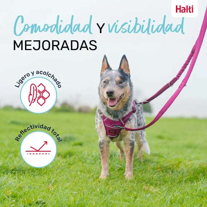 Dog Lead Company of Animals Burgundy S - Домашни Животни<<<Дом Градина<<<BigBuy&&&Пътуване и разходки<<<Домашни