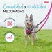 Dog Lead Company of Animals Grey L - Домашни Животни<<<Дом Градина<<<BigBuy&&&Пътуване и разходки<<<Домашни