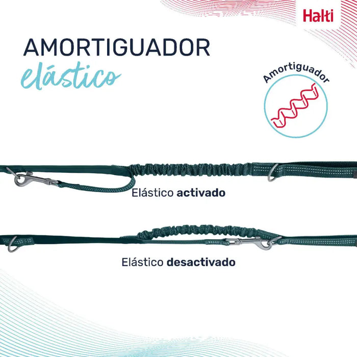Dog Lead Company of Animals Turquoise S - Домашни Животни<<<Дом Градина<<<BigBuy&&&Пътуване и разходки<<<Домашни