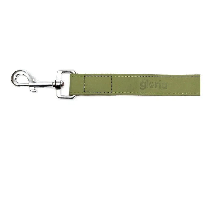 Dog Lead Gloria Oasis 2.1 x 100 cm Green - Домашни Животни<<<Дом Градина<<<BigBuy&&&Пътуване и разходки<<<Домашни
