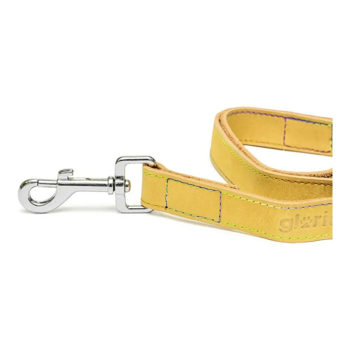 Dog Lead Gloria Oasis 2.1 x 100 cm Yellow - Домашни Животни<<<Дом Градина<<<BigBuy&&&Пътуване и разходки<<<Домашни