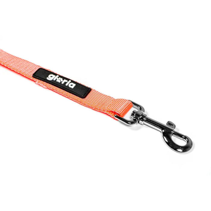 Dog Lead Gloria Orange S - Домашни Животни<<<Дом Градина<<<BigBuy&&&Пътуване и разходки<<<Домашни Животни<<<Дом