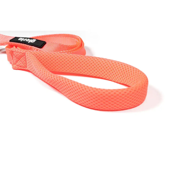 Dog Lead Gloria Pink S - Домашни Животни<<<Дом Градина<<<BigBuy&&&Пътуване и разходки<<<Домашни Животни<<<Дом