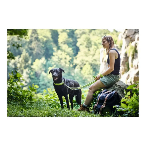 Dog Lead Hunter HILO Brown (200 cm) - Домашни Животни<<<Дом Градина<<<BigBuy&&&Пътуване и разходки<<<Домашни