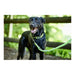 Dog Lead Hunter HILO Lime (200 cm) - Домашни Животни<<<Дом Градина<<<BigBuy&&&Пътуване и разходки<<<Домашни