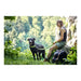 Dog Lead Hunter HILO Lime (200 cm) - Домашни Животни<<<Дом Градина<<<BigBuy&&&Пътуване и разходки<<<Домашни