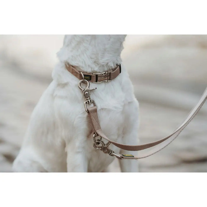Dog Lead Hunter Inari Beige 200 cm - Домашни Животни<<<Дом Градина<<<BigBuy&&&Пътуване и разходки<<<Домашни