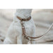 Dog Lead Hunter Inari Beige 200 cm - Домашни Животни<<<Дом Градина<<<BigBuy&&&Пътуване и разходки<<<Домашни