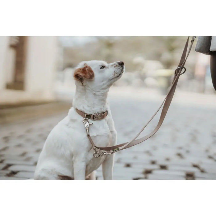 Dog Lead Hunter Inari Beige 200 cm - Домашни Животни<<<Дом Градина<<<BigBuy&&&Пътуване и разходки<<<Домашни