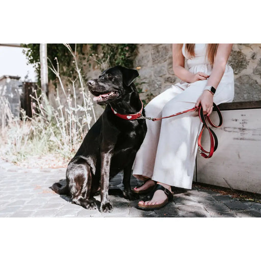 Dog Lead Hunter Red 2 m Adjustable - Домашни Животни<<<Дом Градина<<<BigBuy&&&Пътуване и разходки<<<Домашни