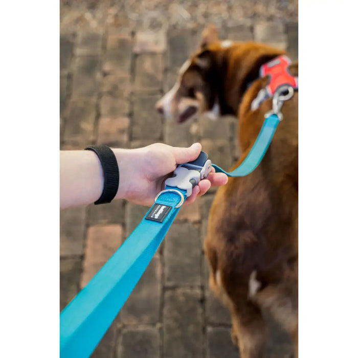 Dog Lead Red Dingo Brown - Домашни Животни<<<Дом Градина<<<BigBuy&&&Пътуване и разходки<<<Домашни Животни<<<Дом