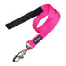 Dog Lead Red Dingo Fuchsia (2 x 120 cm) - Домашни Животни<<<Дом Градина<<<BigBuy&&&Пътуване и разходки<<<Домашни