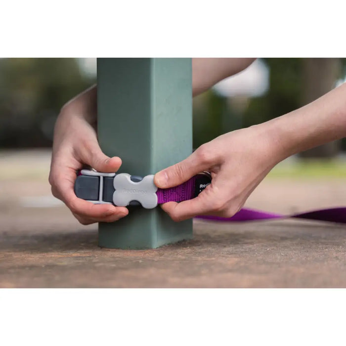 Dog Lead Red Dingo Fuchsia - Домашни Животни<<<Дом Градина<<<BigBuy&&&Пътуване и разходки<<<Домашни Животни<<<Дом
