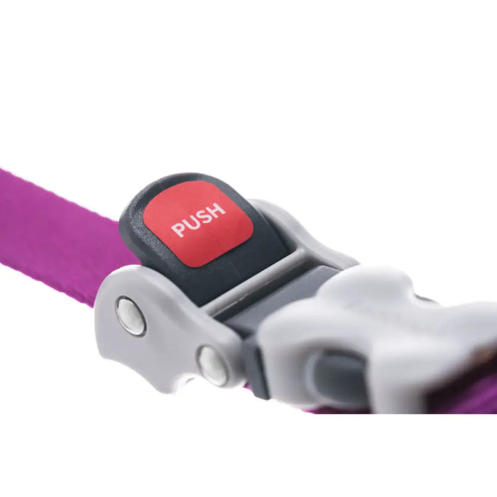 Dog Lead Red Dingo Purple - Домашни Животни<<<Дом Градина<<<BigBuy&&&Пътуване и разходки<<<Домашни Животни<<<Дом