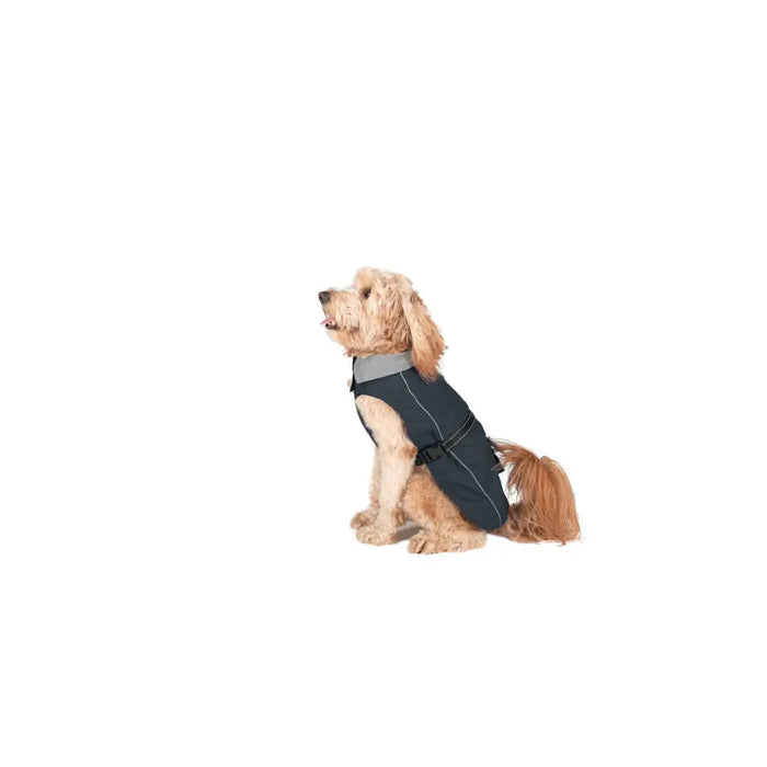 Dog raincoat Dog Gone Smart Black 60 cm - Домашни Животни<<<Дом Градина<<<BigBuy&&&Пътуване и разходки<<<Домашни