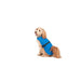 Dog raincoat Dog Gone Smart Blue 60 cm - Домашни Животни<<<Дом Градина<<<BigBuy&&&Пътуване и разходки<<<Домашни
