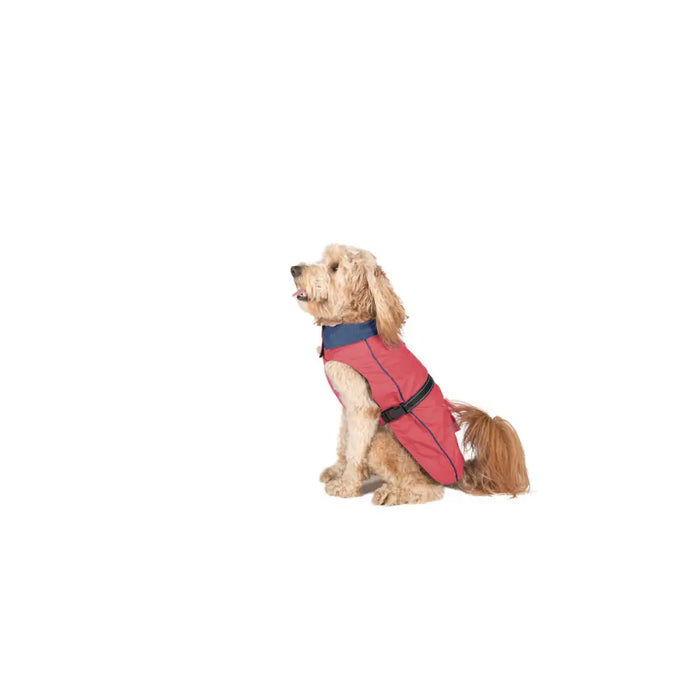 Dog raincoat Dog Gone Smart Coral 60 cm - Домашни Животни<<<Дом Градина<<<BigBuy&&&Пътуване и разходки<<<Домашни