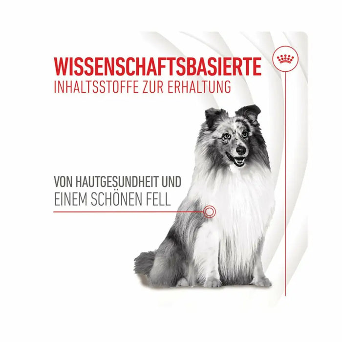 Dog Snack Royal Canin 240 g - Хранене на домашни любимци<<<Домашни Животни<<<Дом