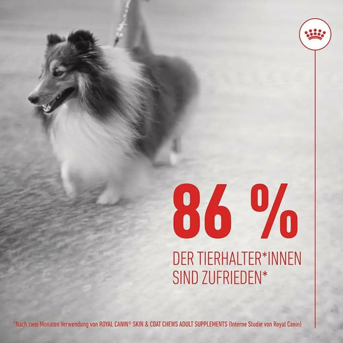 Dog Snack Royal Canin 240 g - Хранене на домашни любимци<<<Домашни Животни<<<Дом