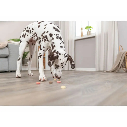 Dog Snack Trixie Cookie Snack Loops 1,3 kg - Домашни Животни<<<Дом Градина<<<BigBuy&&&Хранене на домашни