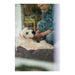 Dog Sofa Hunter Boston 80x60 cm Brown - Домашни Животни<<<Дом Градина<<<BigBuy&&&Къщички и легълца<<<Домашни