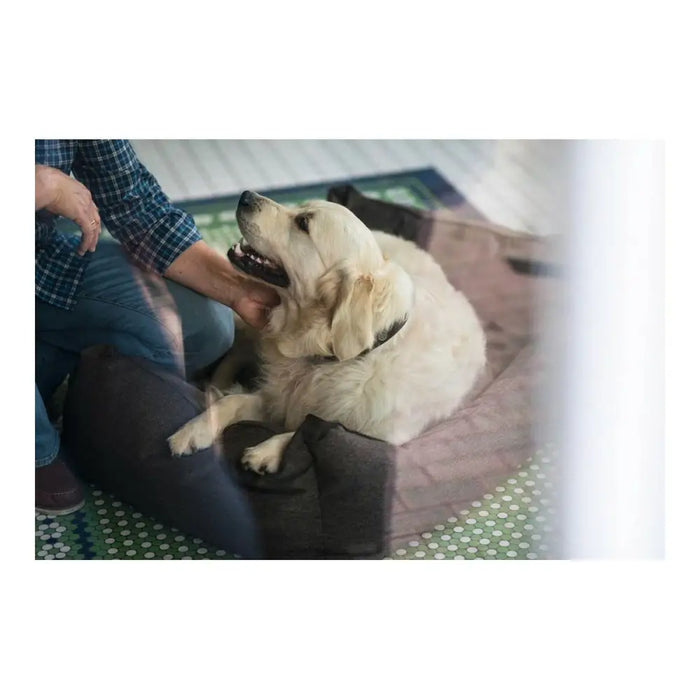 Dog Sofa Hunter Boston 80x60 cm Brown - Домашни Животни<<<Дом Градина<<<BigBuy&&&Къщички и легълца<<<Домашни