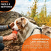 Dog toy Bionic Urban stick Orange 12 cm M Bone - Домашни Животни<<<Дом Градина<<<BigBuy&&&Играчки<<<Домашни