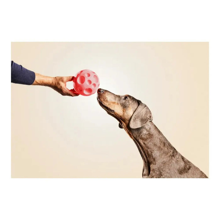 Dog toy Gloria Dispenser Sweets Rubber (12 cm) - Домашни Животни<<<Дом Градина<<<BigBuy&&&Играчки<<<Домашни