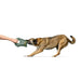 Dog toy Hunter Tough Tundra Green Owl - Домашни Животни<<<Дом Градина<<<BigBuy&&&Играчки<<<Домашни Животни<<<Дом