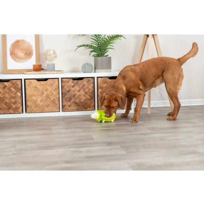 Dog toy Trixie Pig - Домашни Животни<<<Дом Градина<<<BigBuy&&&Играчки<<<Домашни Животни<<<Дом Градина<<<BigBuy