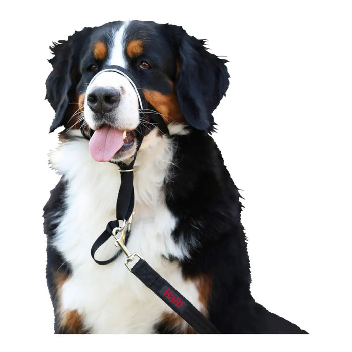 Dog Training Collars Company of Animals Halti Black Muzzle (29-36 cm) - Домашни Животни<<<Дом