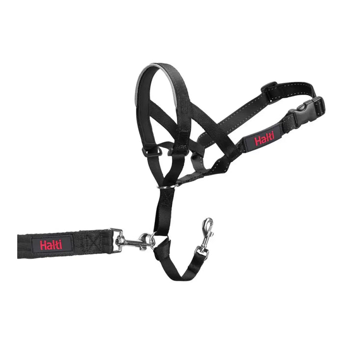 Dog Training Collars Company of Animals Halti Black Muzzle (29-36 cm) - Домашни Животни<<<Дом