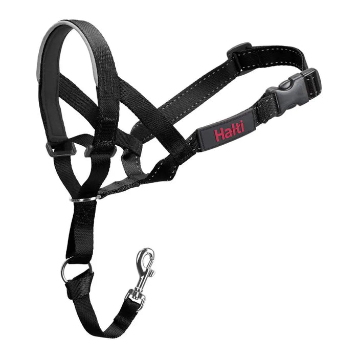 Dog Training Collars Company of Animals Halti Black Muzzle (31-40 cm) - Домашни Животни<<<Дом