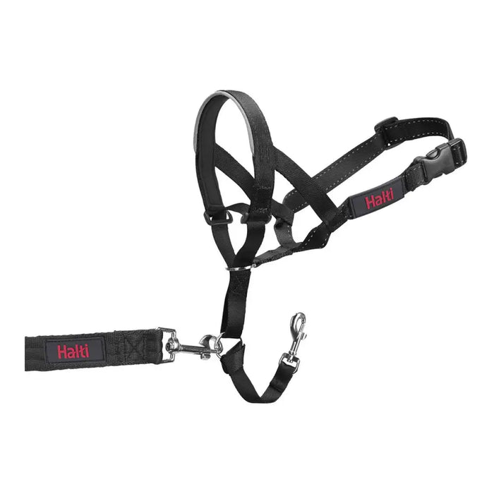 Dog Training Collars Company of Animals Halti Black Muzzle (31-40 cm) - Домашни Животни<<<Дом