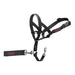 Dog Training Collars Company of Animals Halti Black Muzzle (31-40 cm) - Домашни Животни<<<Дом