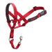 Dog Training Collars Company of Animals Halti Muzzle (35-48 cm) - Домашни Животни<<<Дом Градина<<<BigBuy&&&Пътуване и