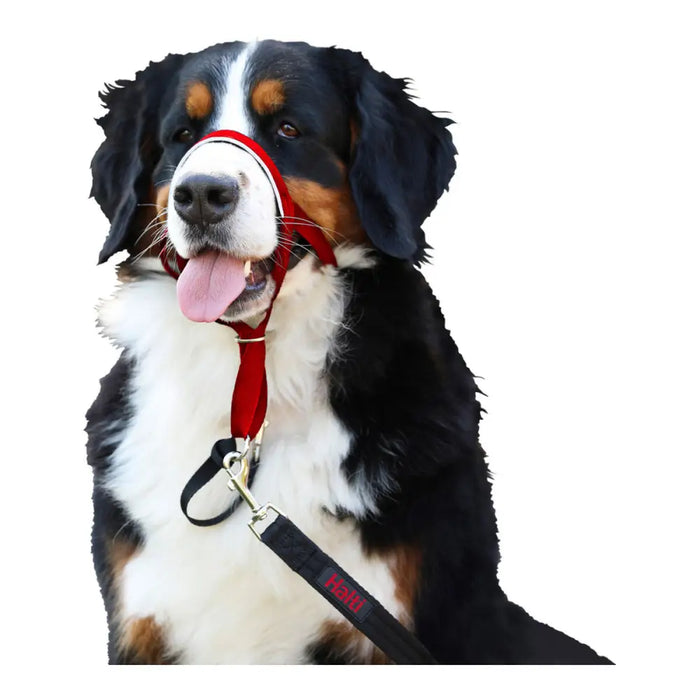 Dog Training Collars Company of Animals Halti Muzzle (35-48 cm) - Домашни Животни<<<Дом Градина<<<BigBuy&&&Пътуване и