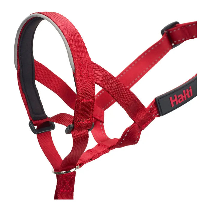 Dog Training Collars Company of Animals Halti Muzzle (35-48 cm) - Домашни Животни<<<Дом Градина<<<BigBuy&&&Пътуване и