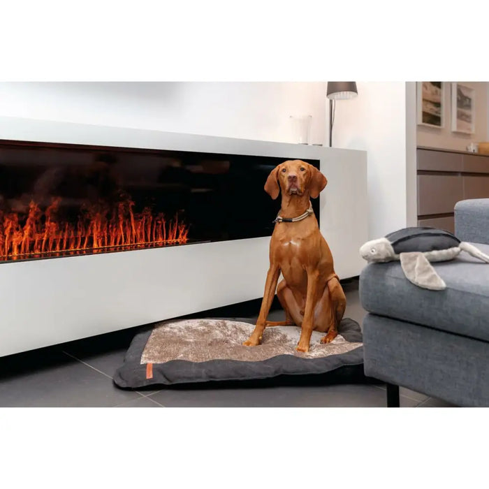 Dog Training Collars Trixie Be Nordic Black Sand 35 cm - Домашни Животни<<<Дом Градина<<<BigBuy&&&Пътуване и