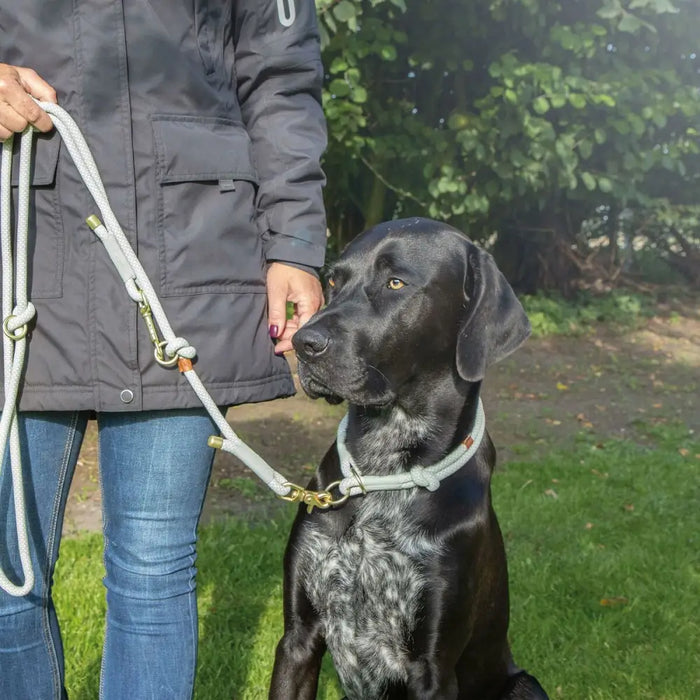 Dog Training Collars Trixie Soft Rope Green Mint L 50 cm - Домашни Животни<<<Дом Градина<<<BigBuy&&&Пътуване и