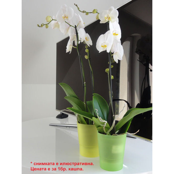 PLASTIC POT Φ14CM FOR ORCHID DON PLAST
