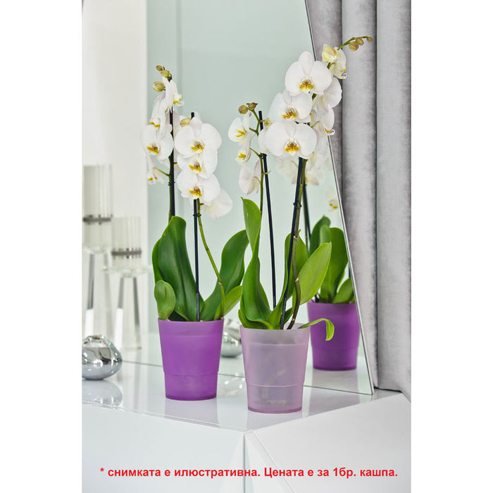 PLASTIC POT Φ14CM FOR ORCHID DON PLAST