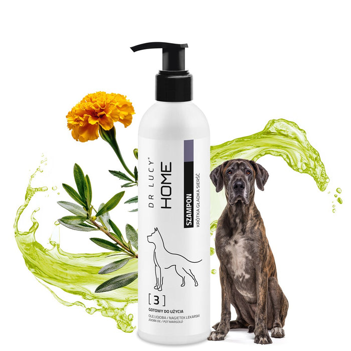 DR LUCY Home 3 short coat - shampoo for dogs - 250 ml