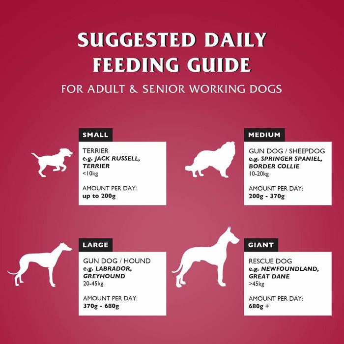 Fodder Dr.John Beef 15 g 15 kg