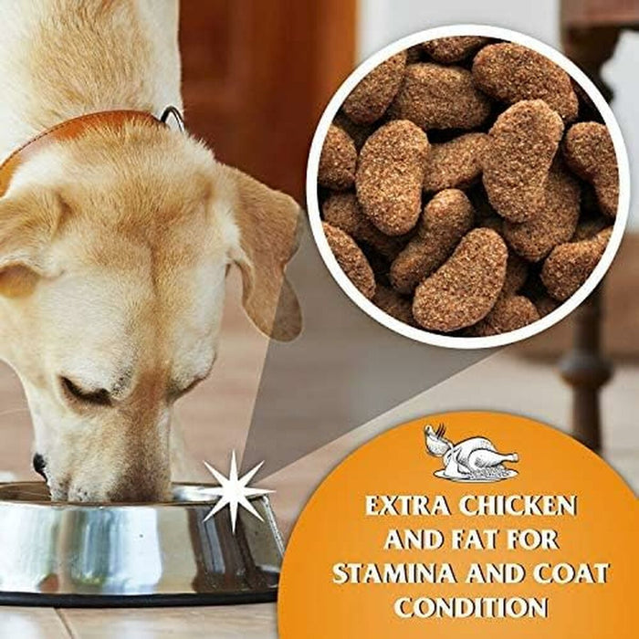 Fodder Dr.John Chicken 15 g 15 kg