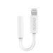Dudao audio adapter headphone adapter from Lightning to 3.5 mm mini jack white (L16i white) - USB adapters<<<HurtelXML