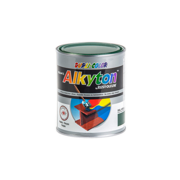 ANTI-CORROSION PAINT 4B1 ALKYTON RAL 6005 DUPLI COLOR